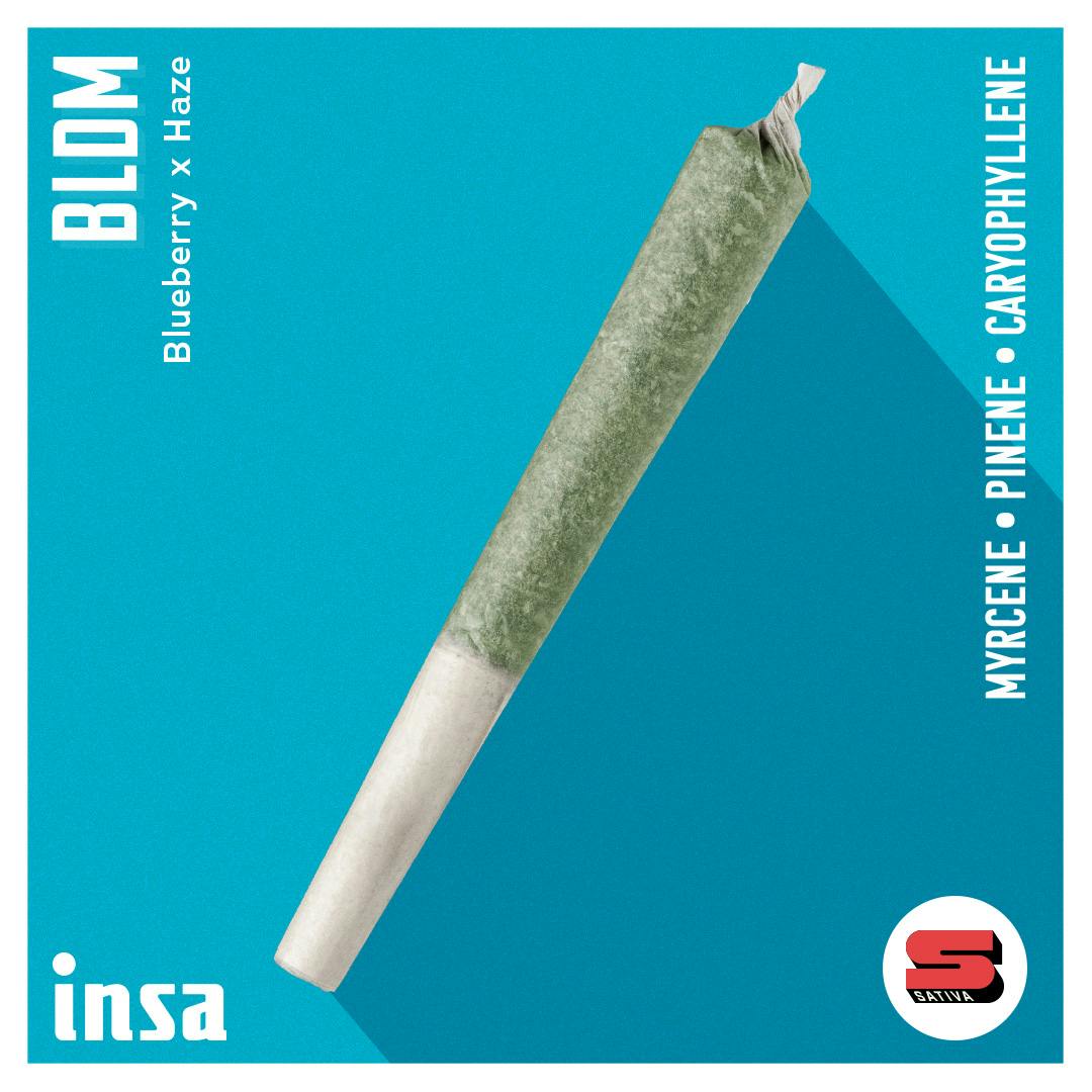 Pre-Roll - Blue Dream