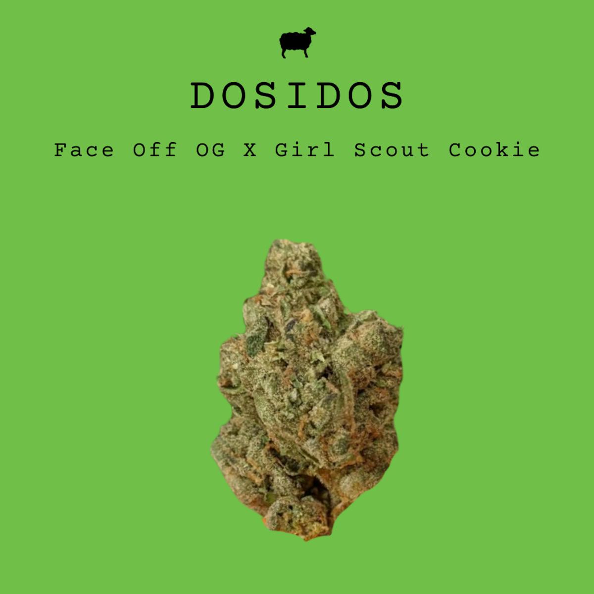 Photo of Dosidos Small Buds