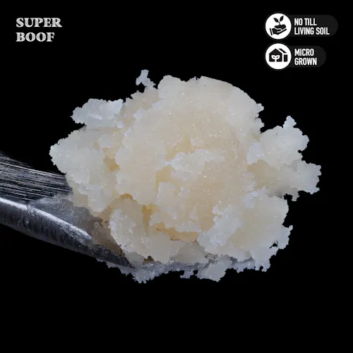Royal Genetics | Rosin Jar | Super Boof | 1g-1