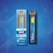 Breeze Pro - 2g Disposable - Blue Raspberry - DISPOSABLES by BREEZE Canna at King of Budz
