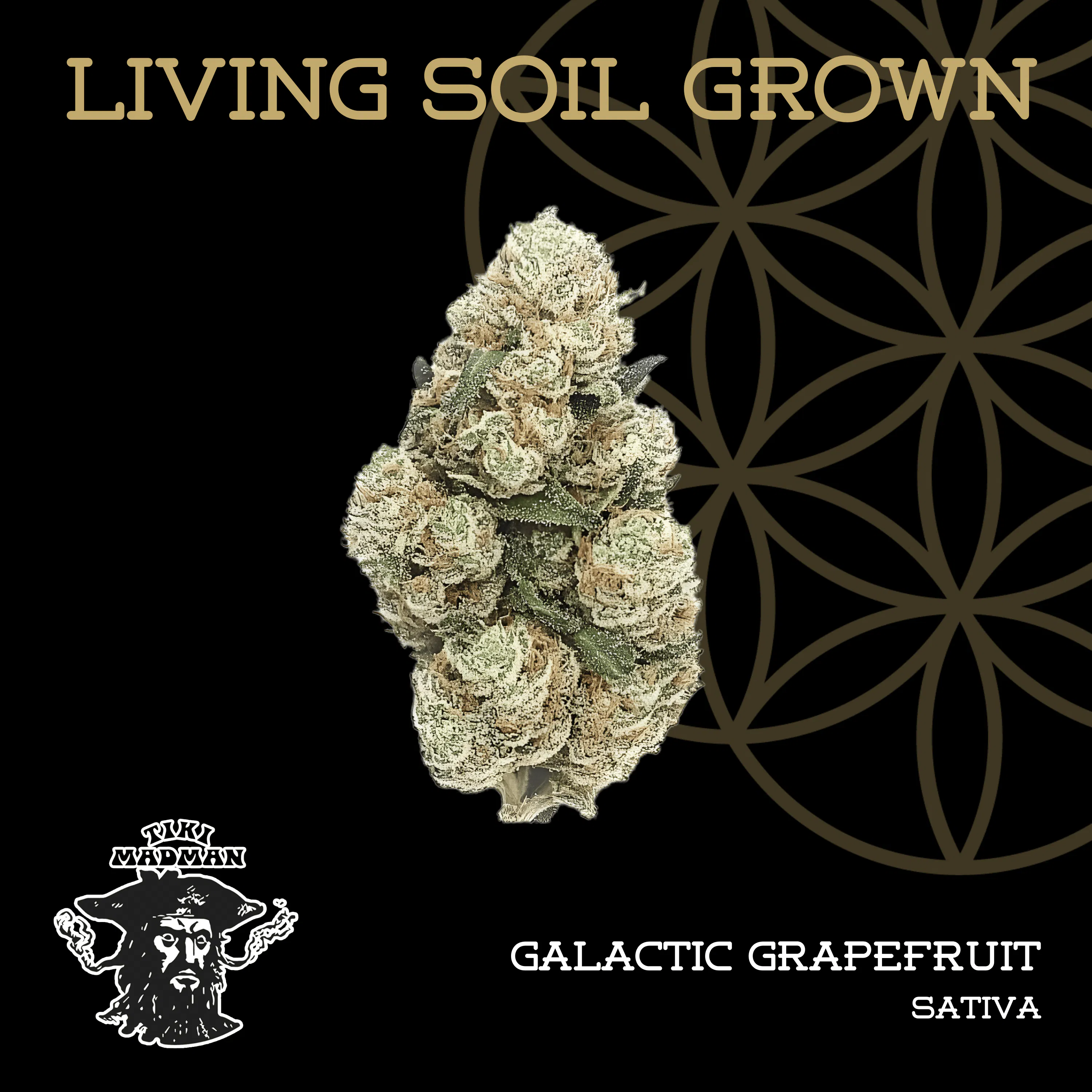 Green Tree Relief | Flower of Life