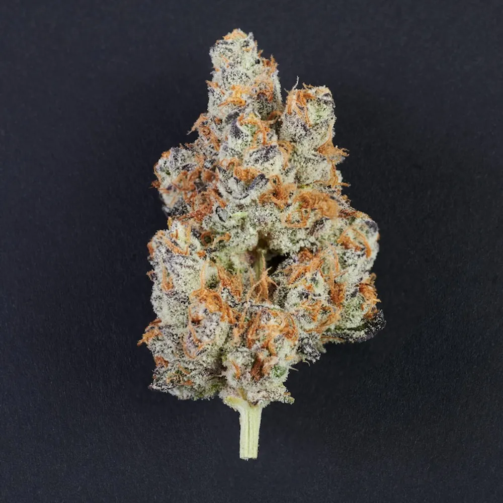 Product Impressed - Garlic Breath Flower (3.5g)