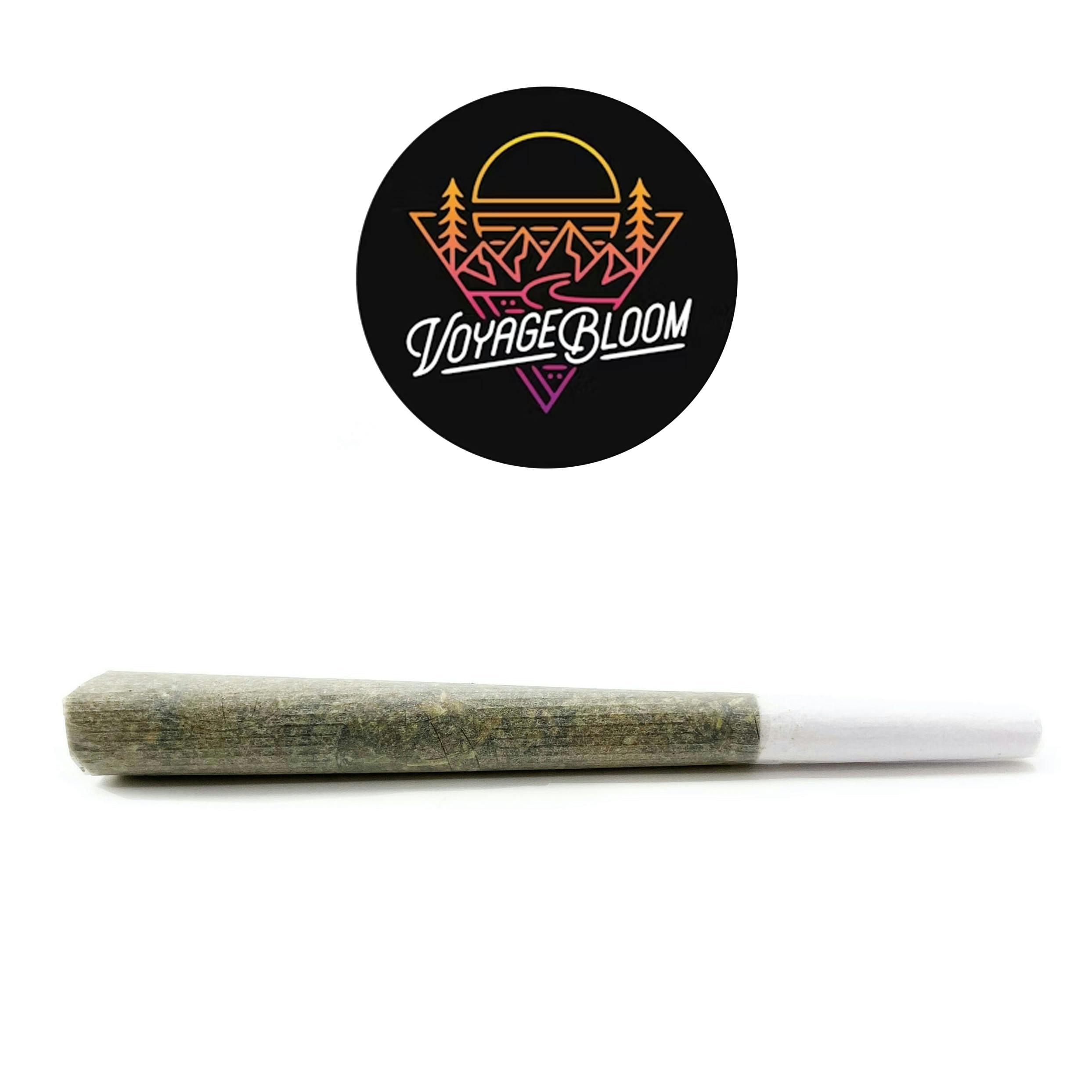 Voyage Bloom Prezzure Preroll Rec | Exclusive Monroe