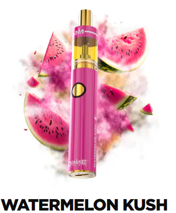 DIME - Watermelon Kush Signature Line AIO - 2G at Bloom Brothers