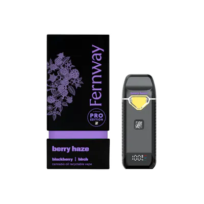 Shop Fernway | Disposable | Berry Haze | 2g In New Jersey | HASHERY