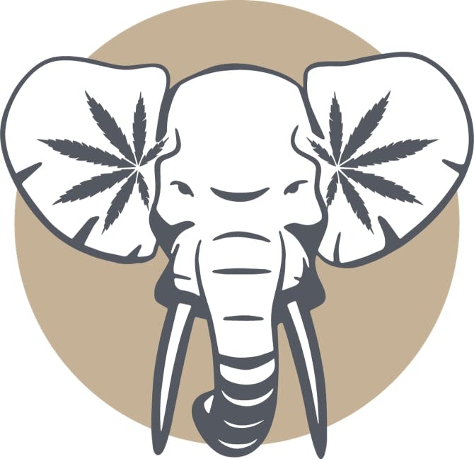 Photo of Elephant Ears (Eastwood)