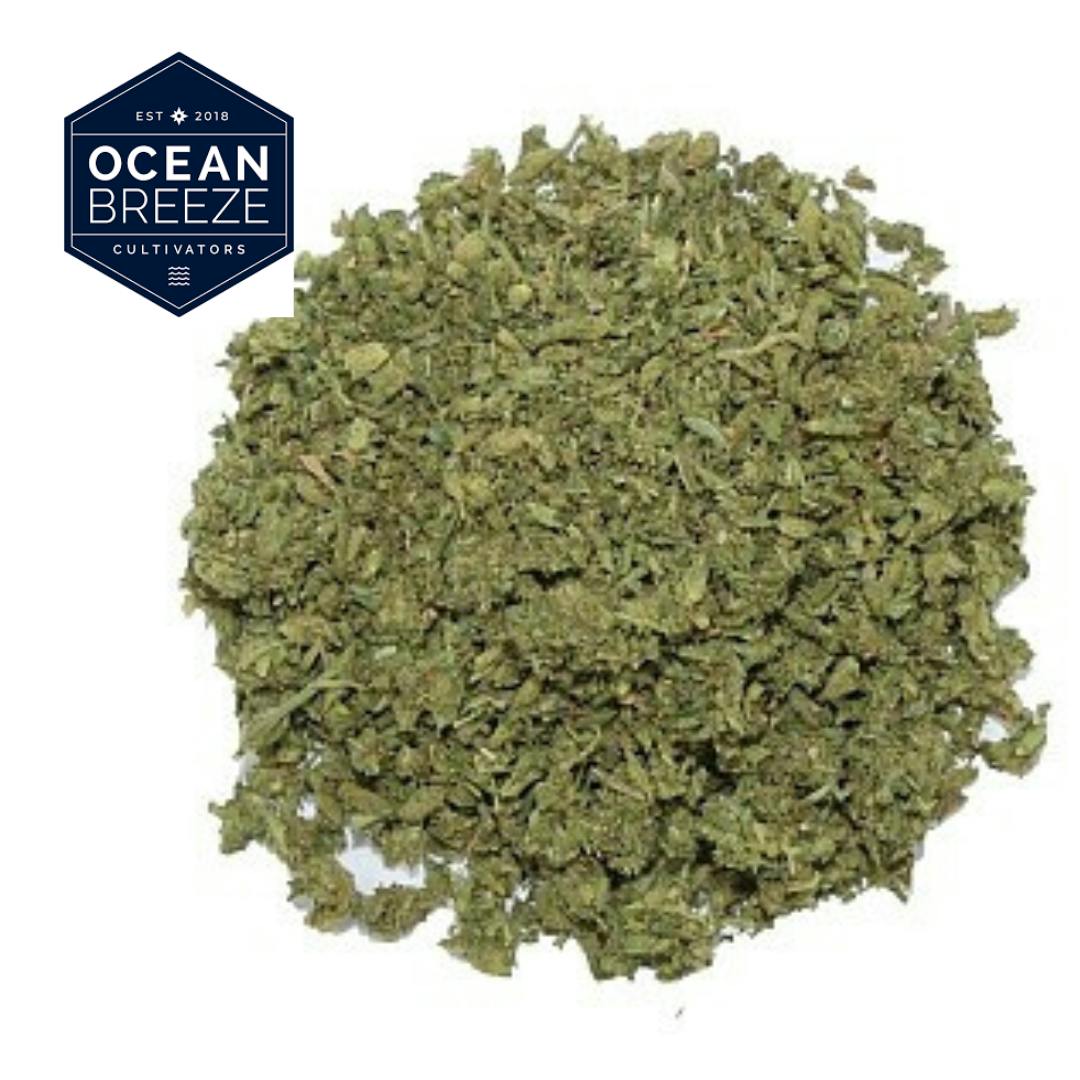 Ocean Breeze Blunt Cone, Cannabis Dispensary