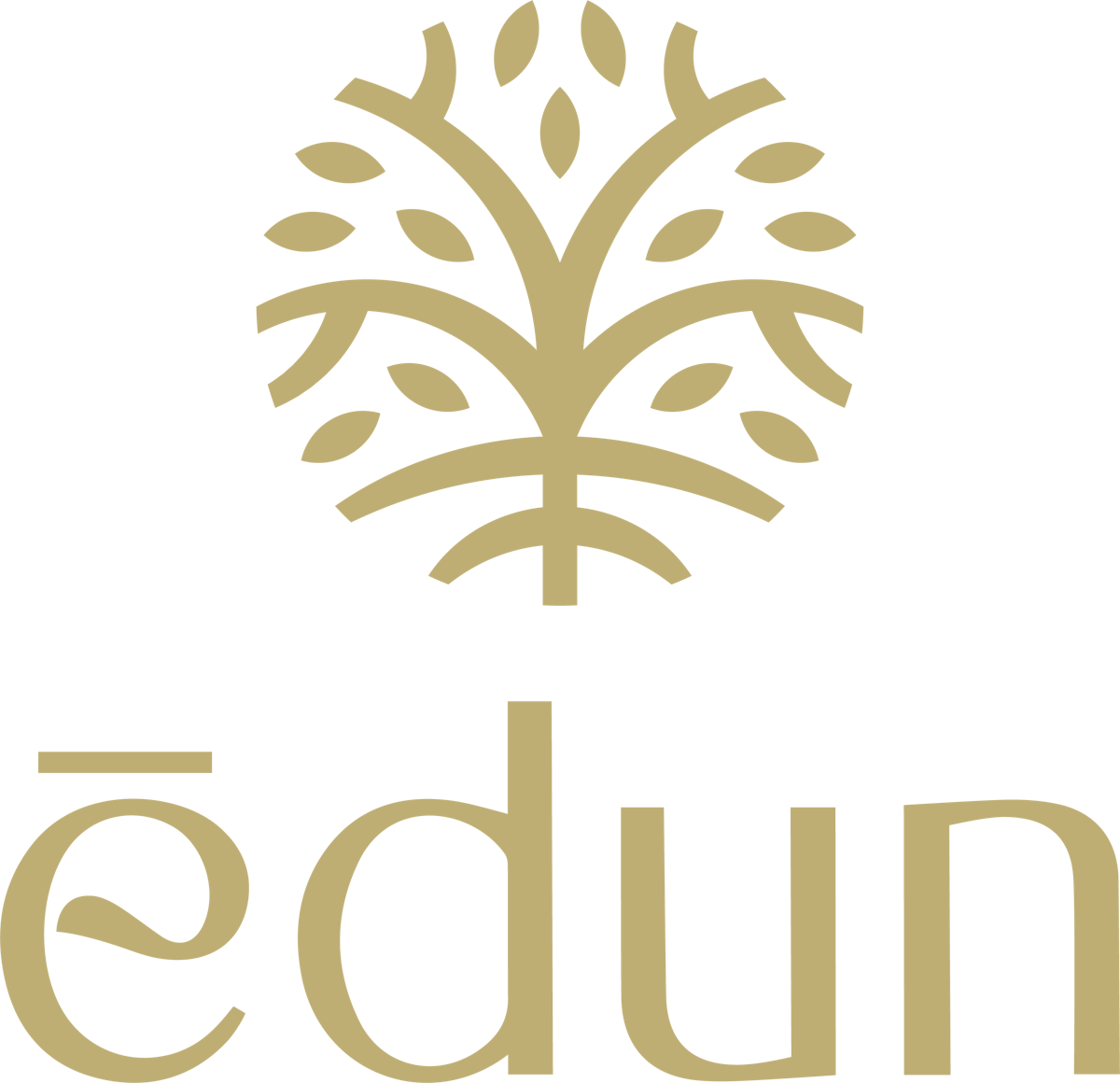 Edun 510 Threaded Vape Battery N/A Accessories | Edun |