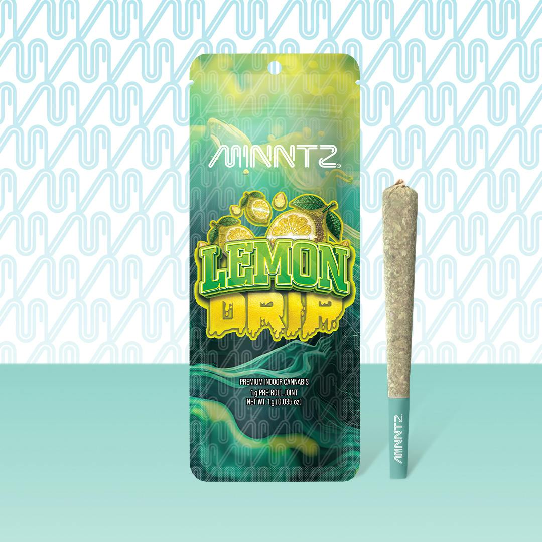Minntz Minntz Preroll | Lemon Drip - Puff Cannabis Cannabis Store
