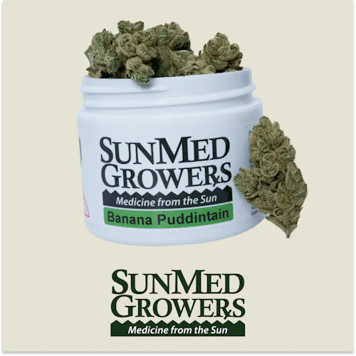 SunMed Banana Puddintain Flower-1
