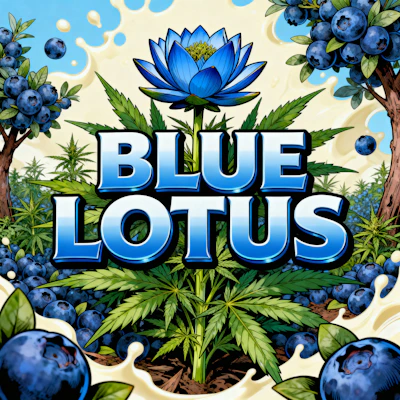 DELI - Blue Lotus