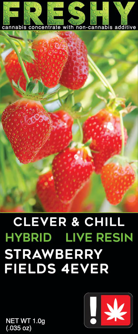 Strawberry Fields 4Ever | Sensible Hollywood