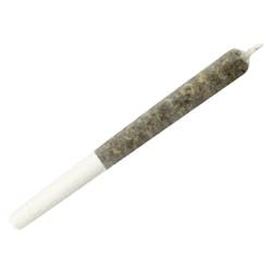 Infused Pre- Roll | Dime Bag - Sweet Chili Glaze Pocket Rockets - Hybrid - 1x0.5g