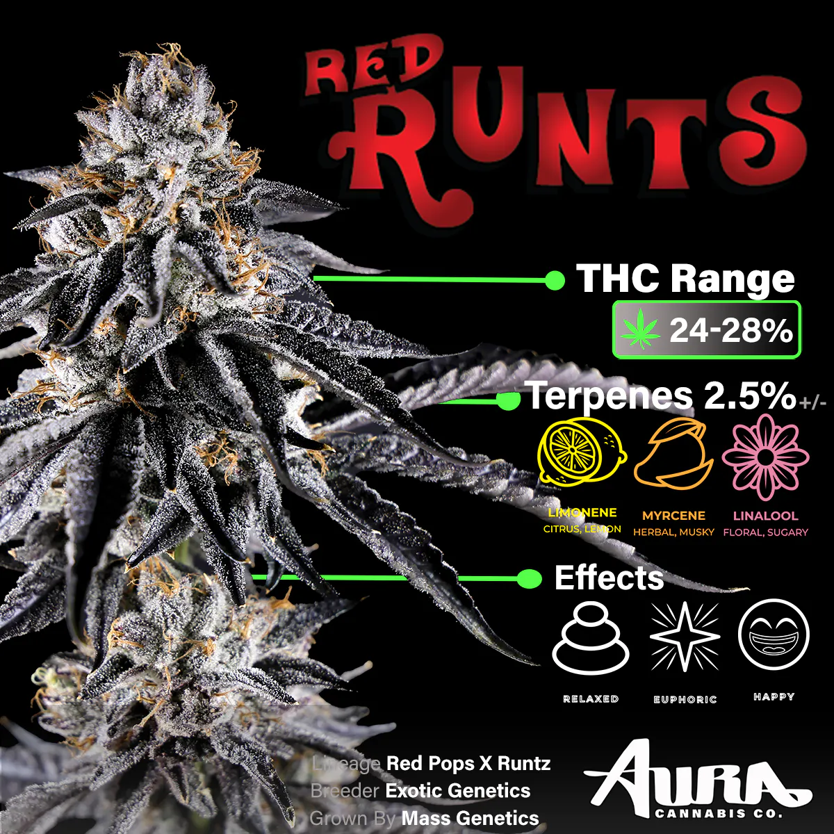 Aura Cannabis Co. Red Runtz 3.5g 1/8oz Flower | Aura Cannabis Co.