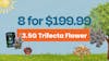 8 for $199.99 - 3.5G Trifecta Flower