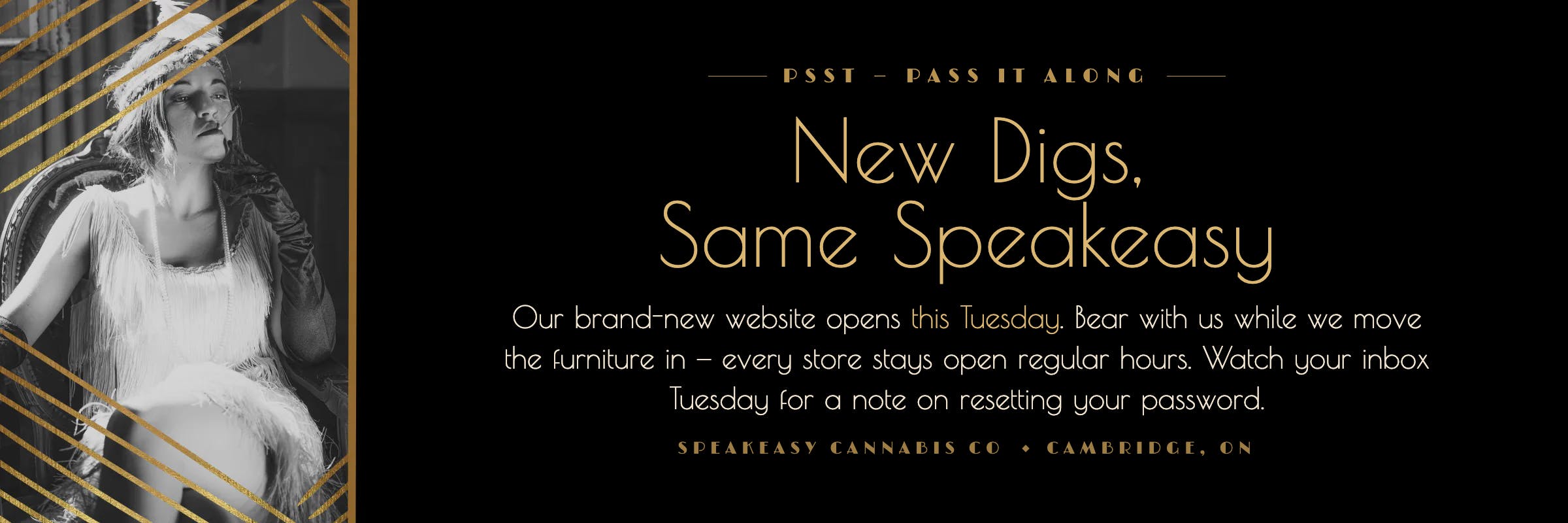 new website coming Tuesday! Store remain open during transition