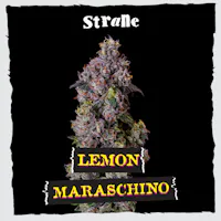 Product Strane - Lemon Maraschino Flower (3.5g)
