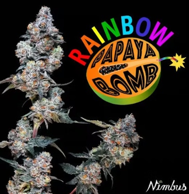 Product Rainbow Papaya Bomb Buds