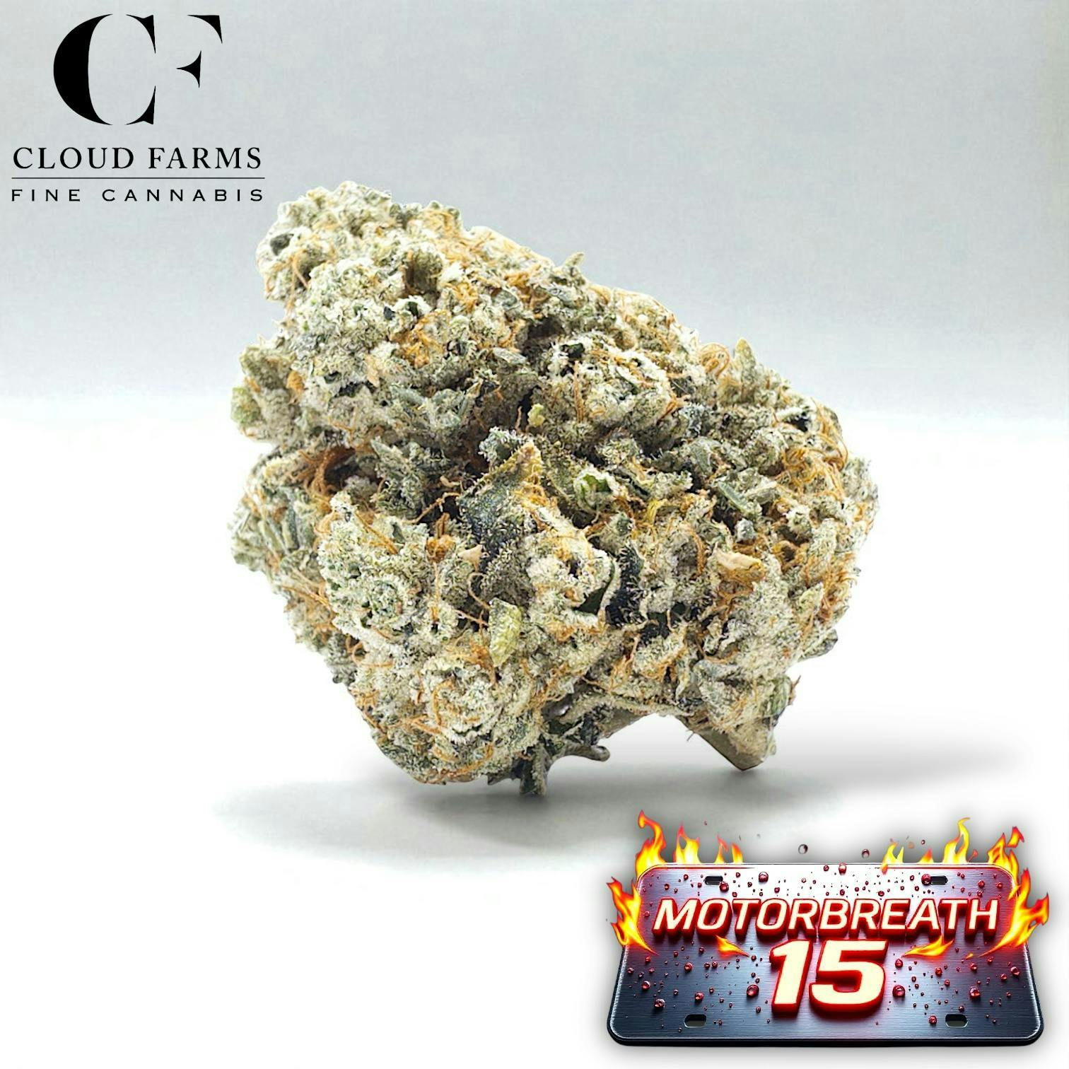 Product: Cloud Farms | Bulk Bud - Motorbreath #15