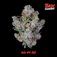 GG4