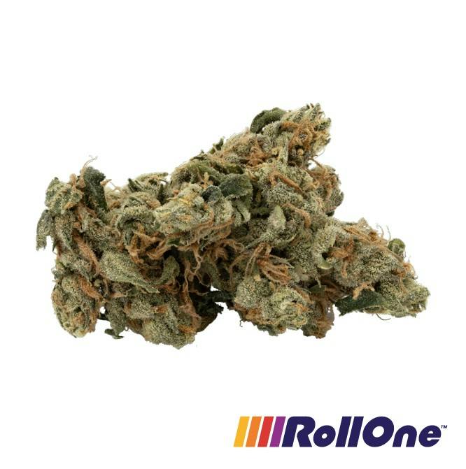 Jack Herer