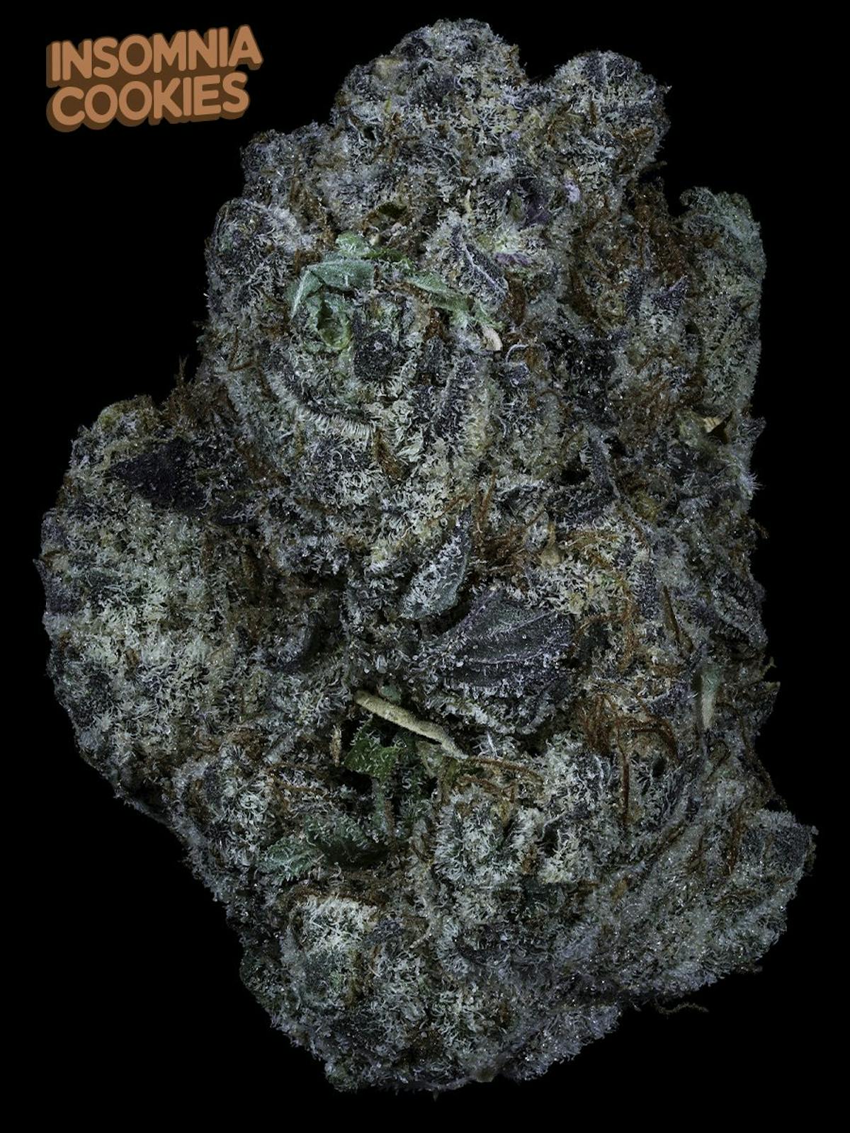 Photo of Prolific | Insomnia Cookies