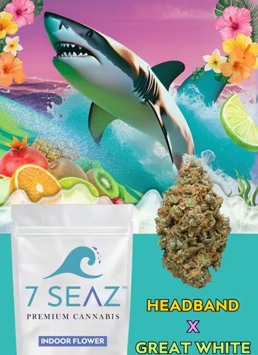 Headband x Great White Shark Hybrid | 7 Seaz