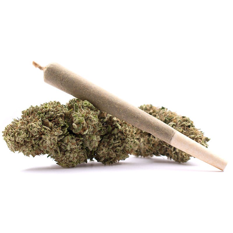 image of Purple Punch | 1g Preroll