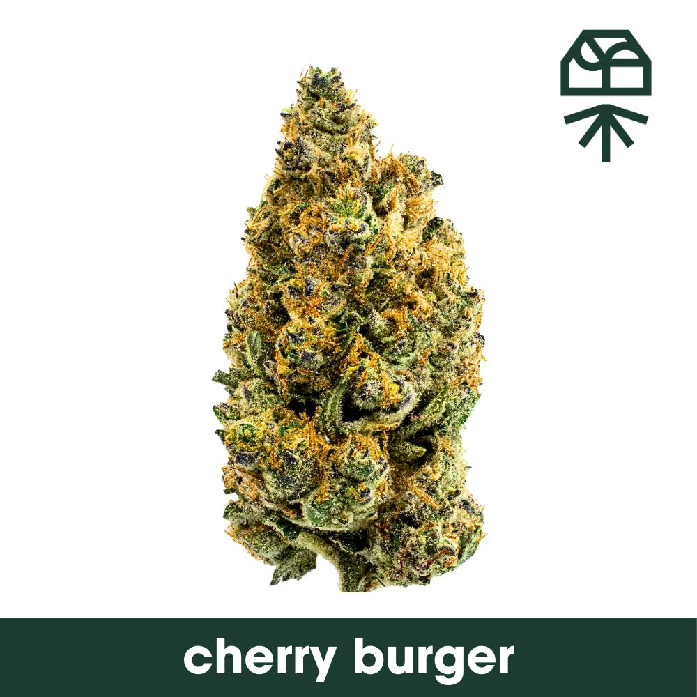 Photo of Grassroots | Cherry Burger | 5PK Pre-Roll 0.4g