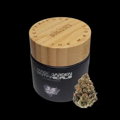 Northeast Alternatives - Hamilton - Adult Use