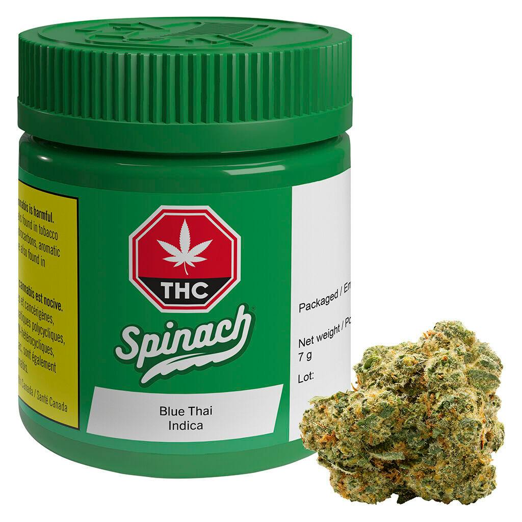 Spinach - blue thai