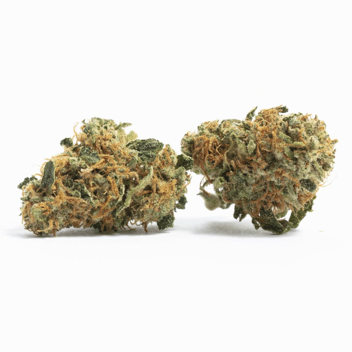 Image of Rainbow Guava | 14g Popcorn