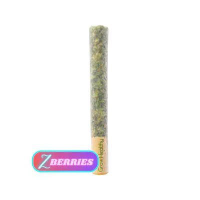 MPX Select Strawberry Z Flower - GrowHealthy
