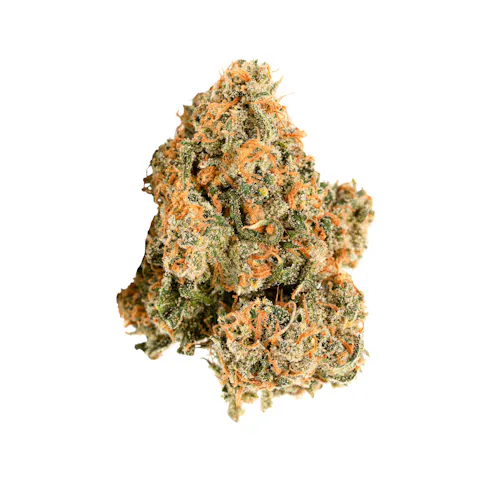 XJ-13 3.5g-1