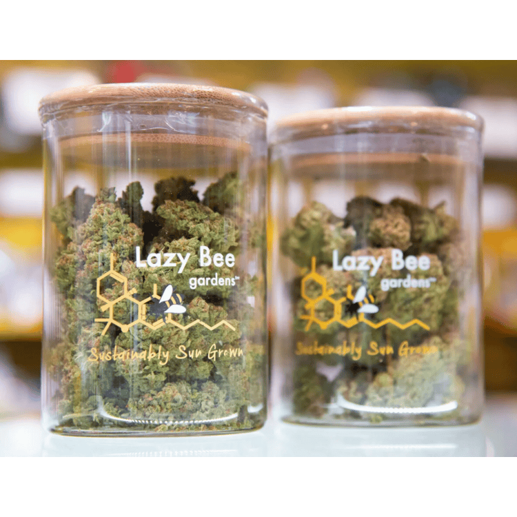 Lazy Bee Gardens: CBD Dancehall