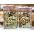 Lazy Bee Gardens: CBD Dancehall