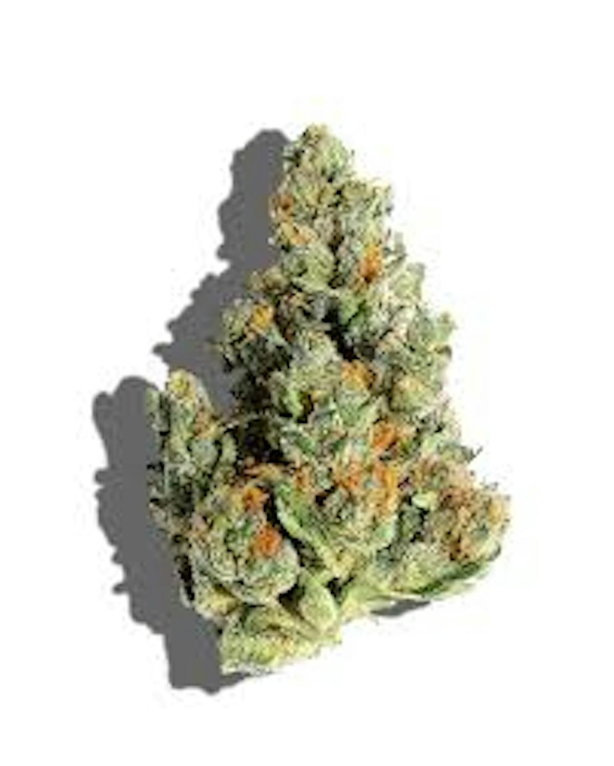 Image of Sour Slice House Flower Popcorn Bud