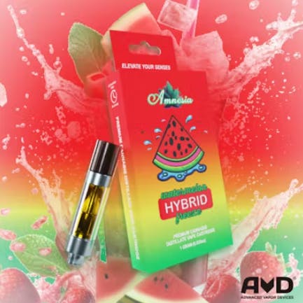 Amnesia - 1g Cart - Watermelon Freeze