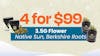 4 for $99 - 3.5G Native Sun, Berkshire Roots Flower
