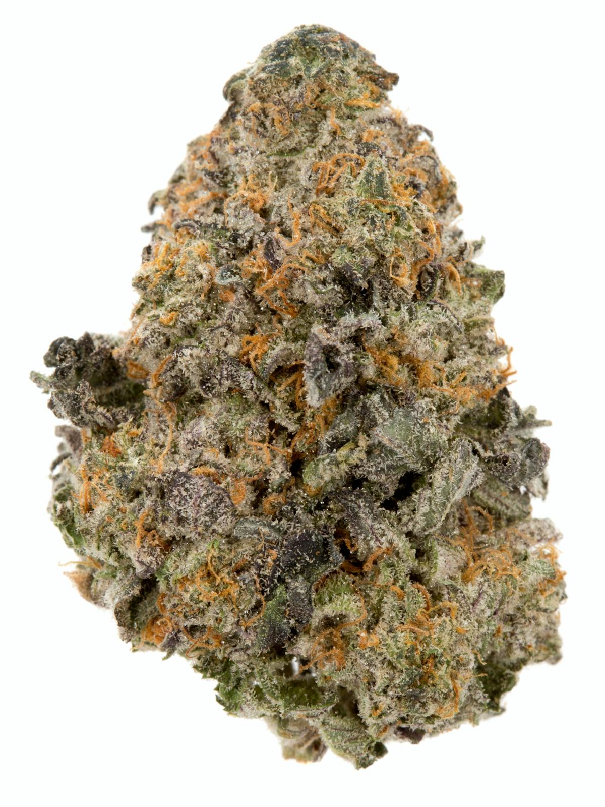 Image of Mystery Cookies | 3.5g Long Cure