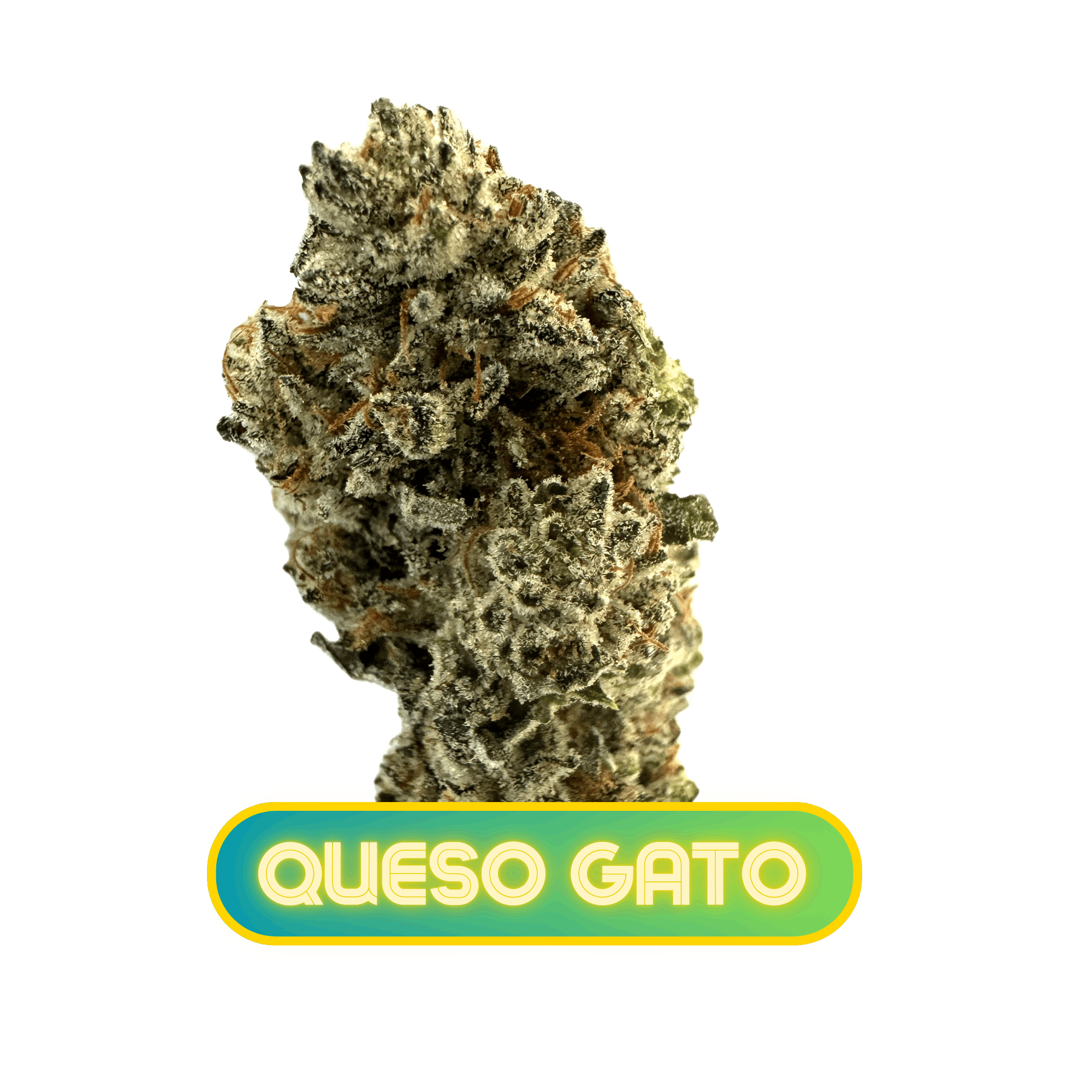 MPX Select Queso Gato Flower - 