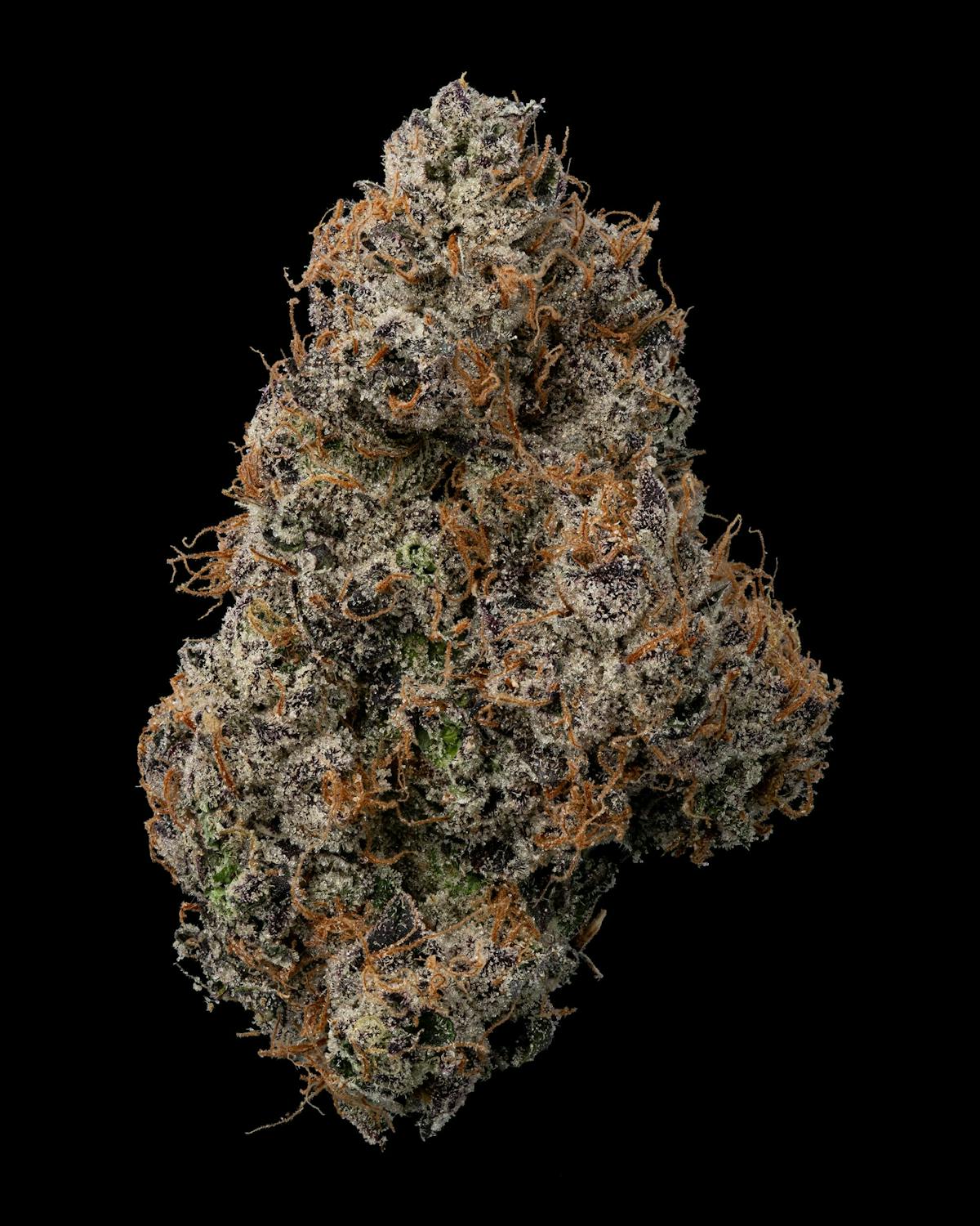 Image of White Runtz