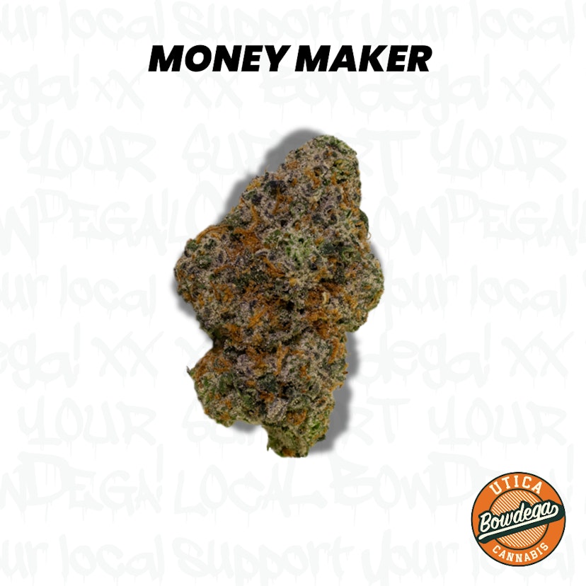 Bowdega | Money Maker