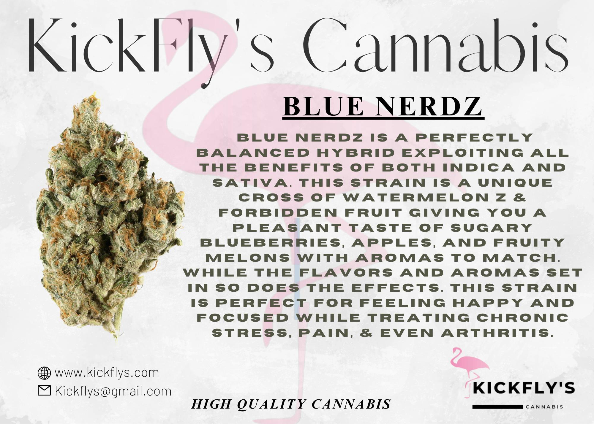 Kickfly's - Blue Nerdz by Kickfly's