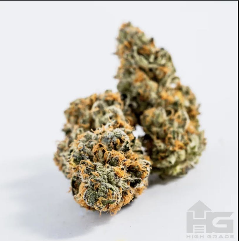 Product: High Grade | Bulk Bud - Melonade
