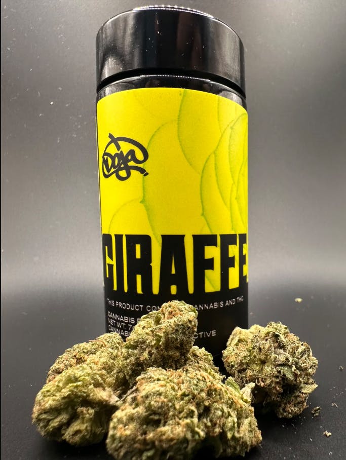 DOJA | 7G FLOWER JAR | GIRAFFE PUZZY