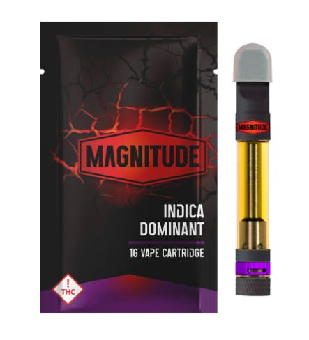 Magnitude Ghost Memory OG Cartridge 1g