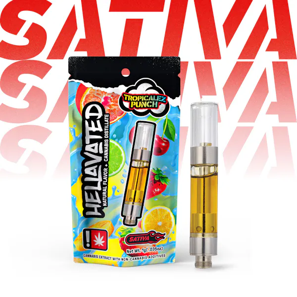 Water Yer Melon Disposable Cloud Bar (Hellavated) 1g Vaporizers | Hellavated  |