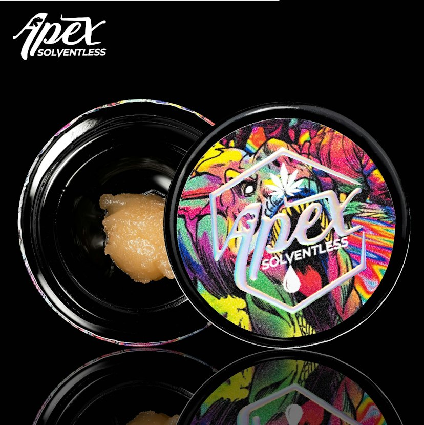 Apex | 1g Live Rosin | Yellowtail S-Tier