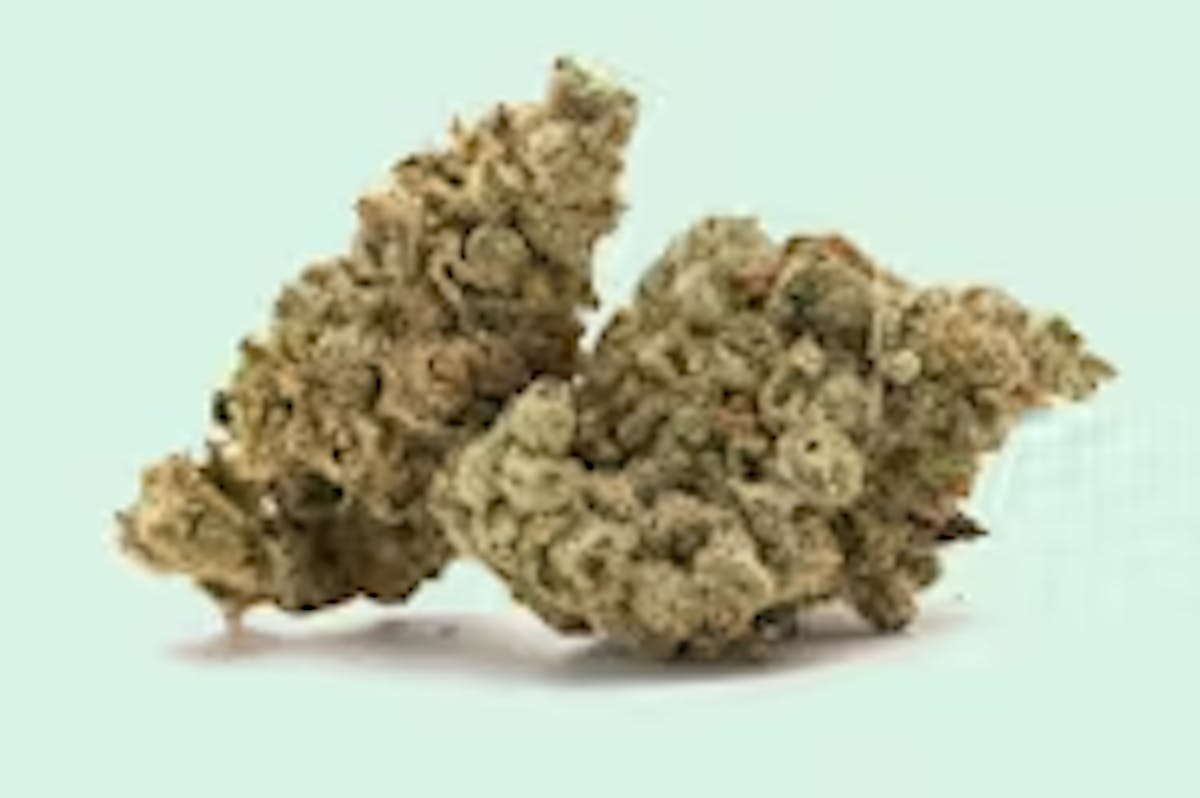 Image of Jupiter | 14g Flower